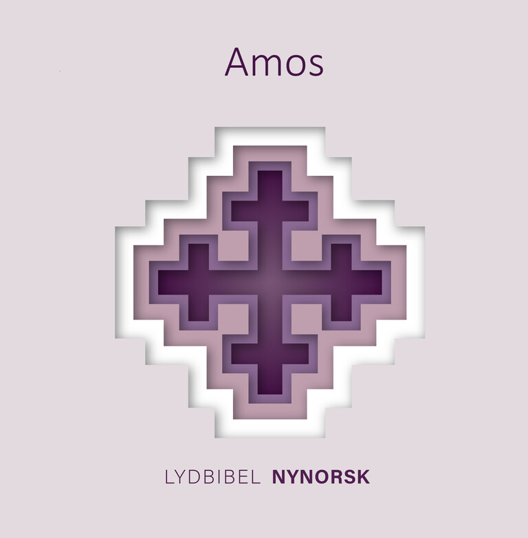 Amos - Bibelen, nynorsk utgåve