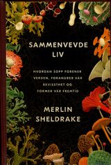 Forsidebilde