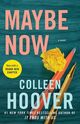 Omslagsbilde:Maybe now : a novel
