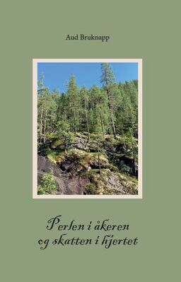 forsidebilde - trykk for å vise stor versjon