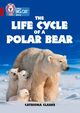 Omslagsbilde:Life cycle of a polar bear