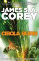 Omslagsbilde:Cibola burn