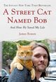 Omslagsbilde:A street cat named Bob : and how he saved my life