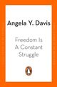 Omslagsbilde:Freedom is a constant struggle : Ferguson, Palestine and the foundation of a movement