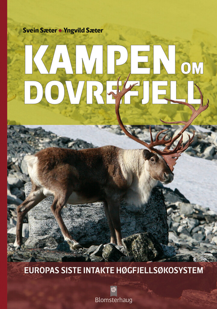 Forsidebilde