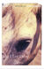 Omslagsbilde:As I lay dying