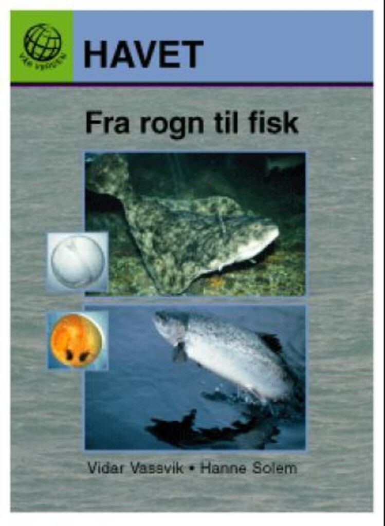 Forsidebilde