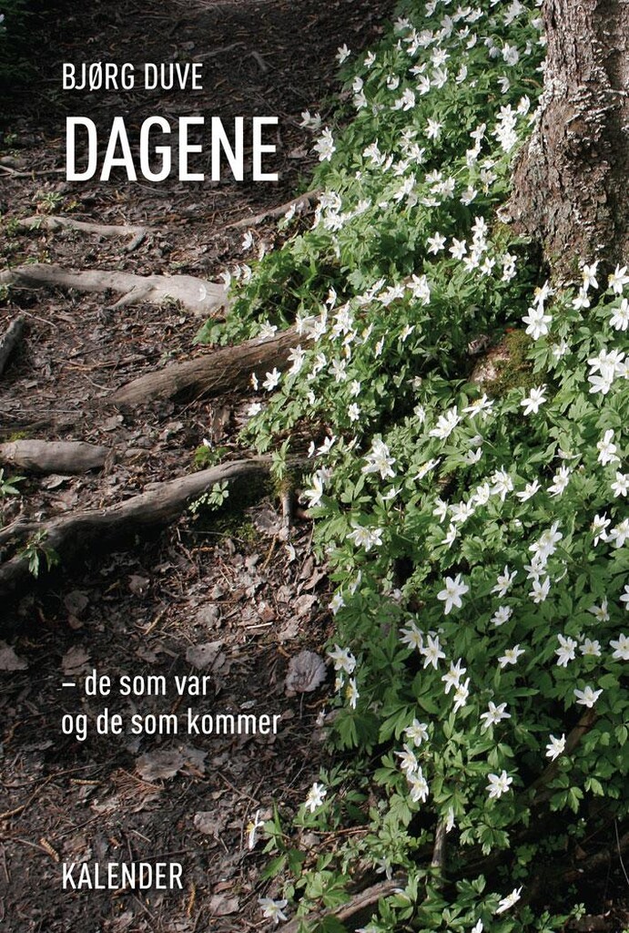Forsidebilde