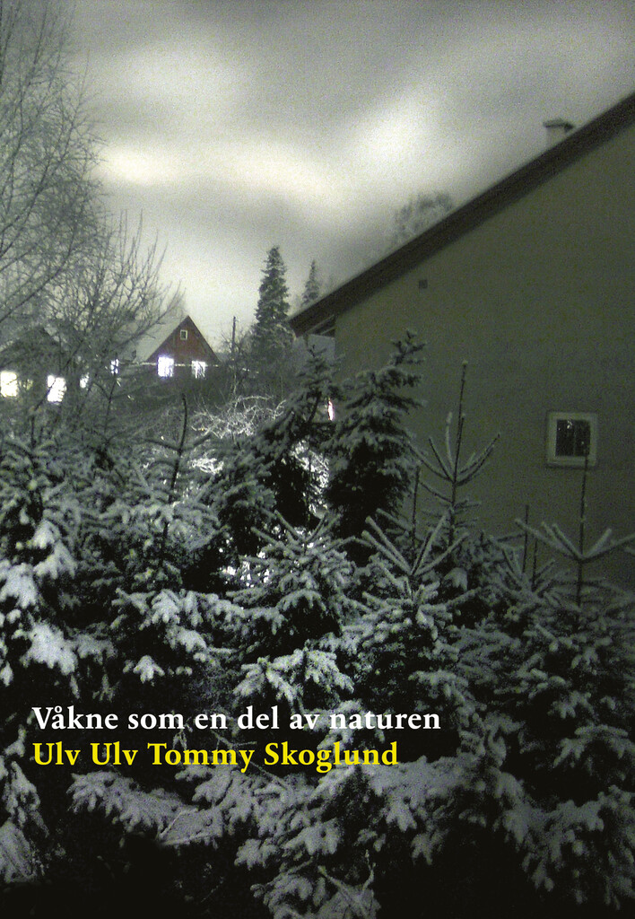 Forsidebilde