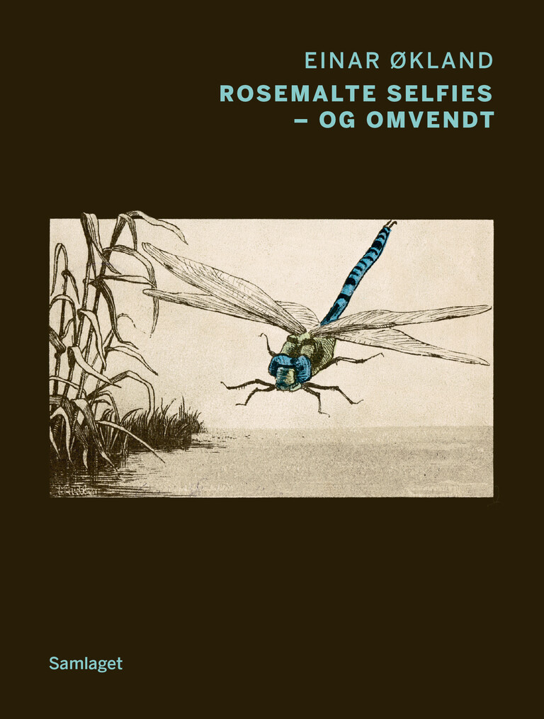 Forsidebilde