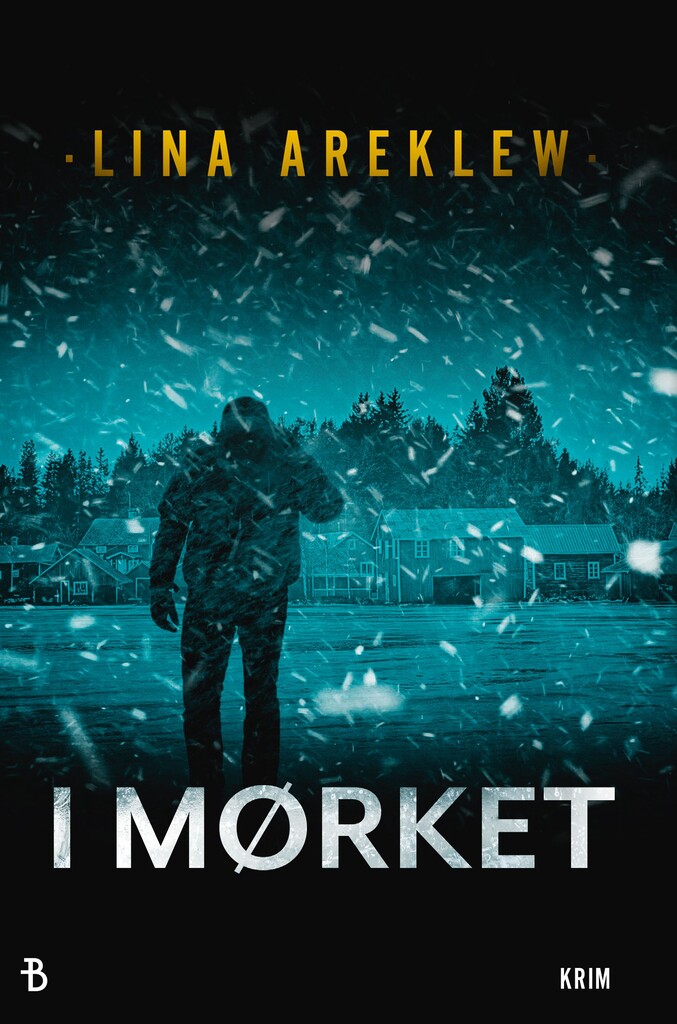 I mørket