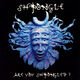 Cover photo:Are you shpongled?