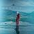 Omslagsbilde:Arctic