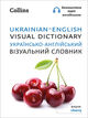 Omslagsbilde:Ukrainian - English visual dictionary = : Ukrajinsko - anhlijskyj vizualyj slovnyk