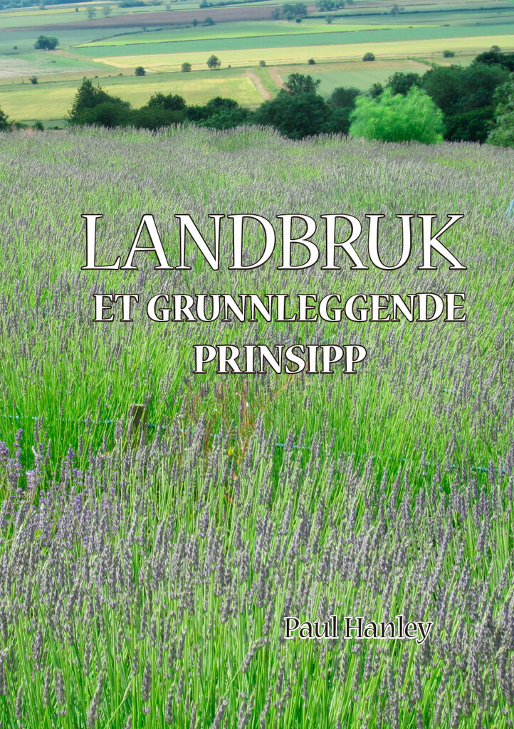 Forsidebilde