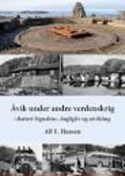 forsidebilde - trykk for å vise stor versjon