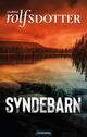Cover photo:Syndebarn