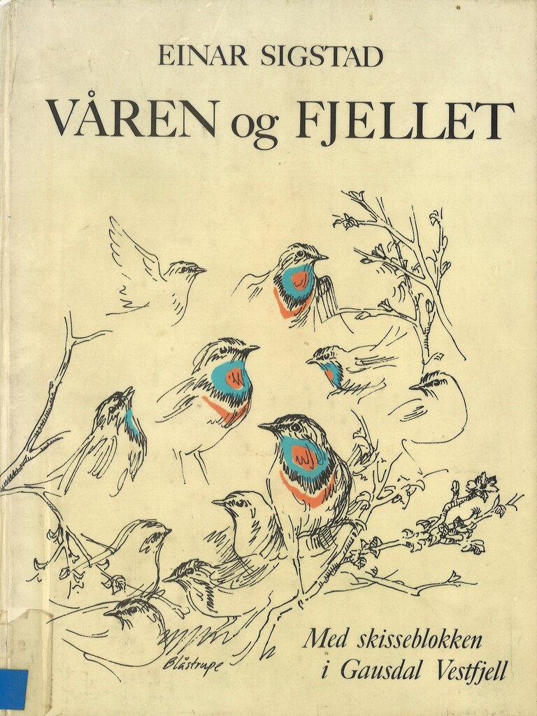 Forsidebilde