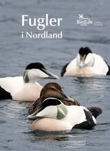 Forsidebilde