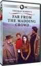 Omslagsbilde:Far from the madding crowd