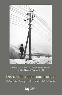 forsidebilde - trykk for å vise stor versjon