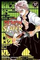 Cover photo:Demon slayer : kimetsu no yaiba . Volume 17 . Successors