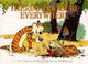 Cover photo:There's treasure everywhere : a Calvin and Hobbes collection