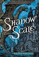 Cover photo:Shadow scale