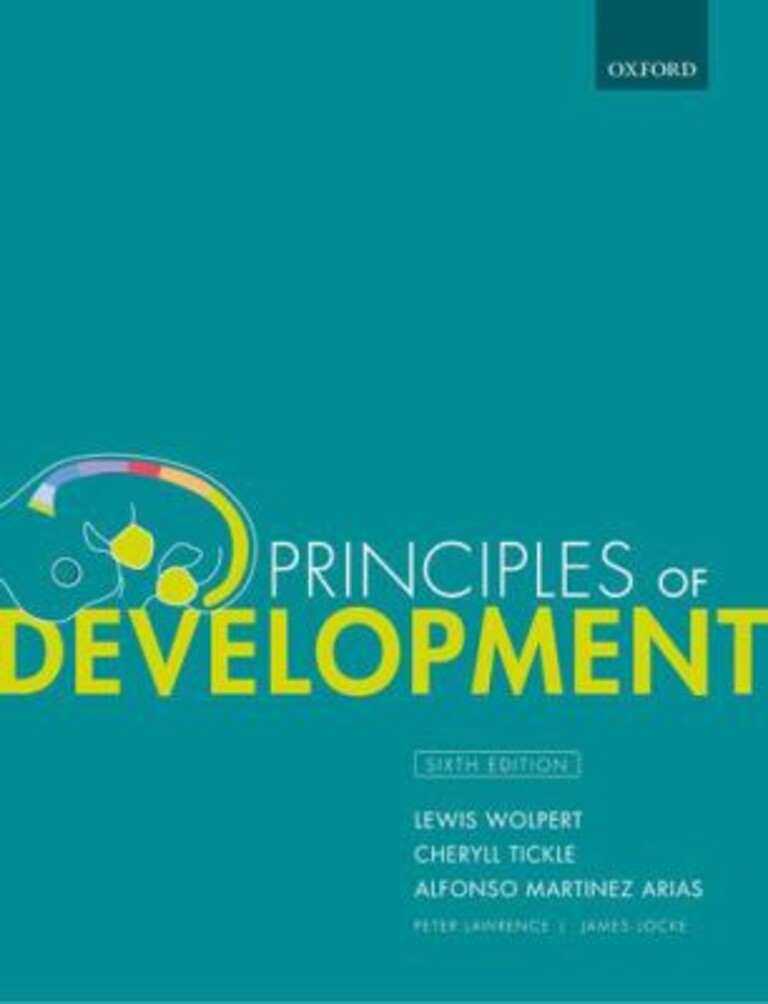 Principles of development