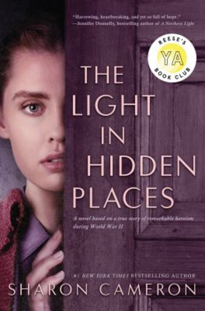 The light in hidden places - a novel based on the true story of Stefania Podgorska