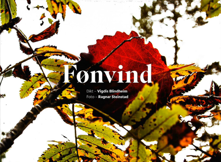 Forsidebilde
