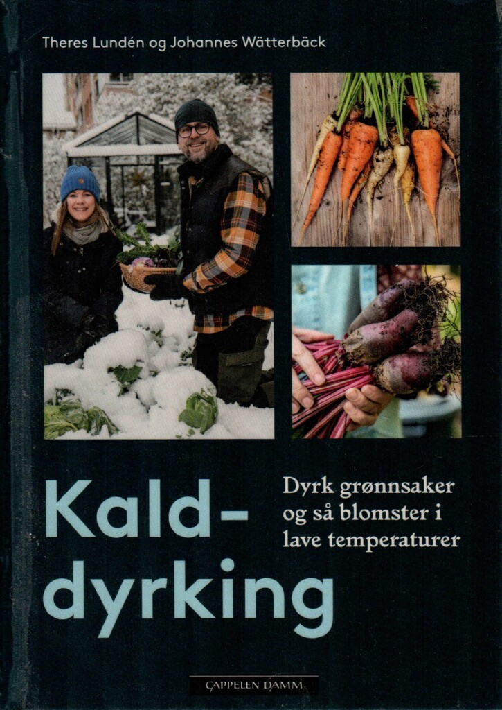 Forsidebilde