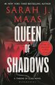 Omslagsbilde:Queen of shadows