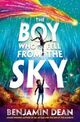 Omslagsbilde:The boy who fell from the sky