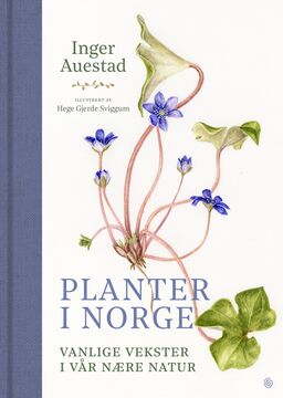 forsidebilde - trykk for å vise stor versjon
