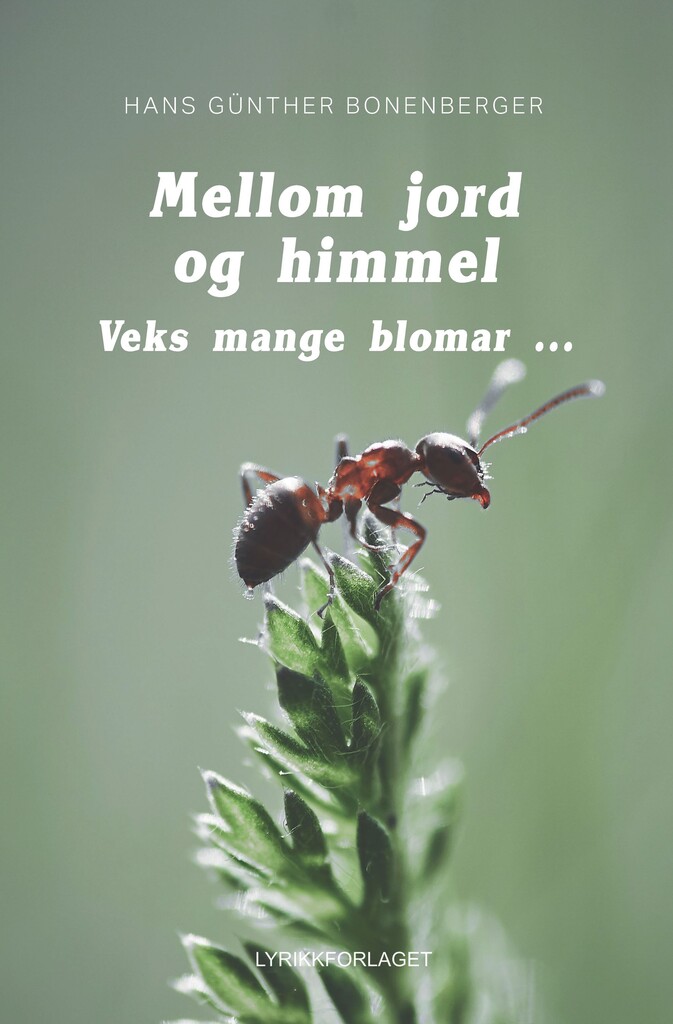 Forsidebilde