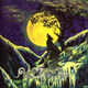Omslagsbilde:Nattens Madrigal : aatte hymne til ulven i manden