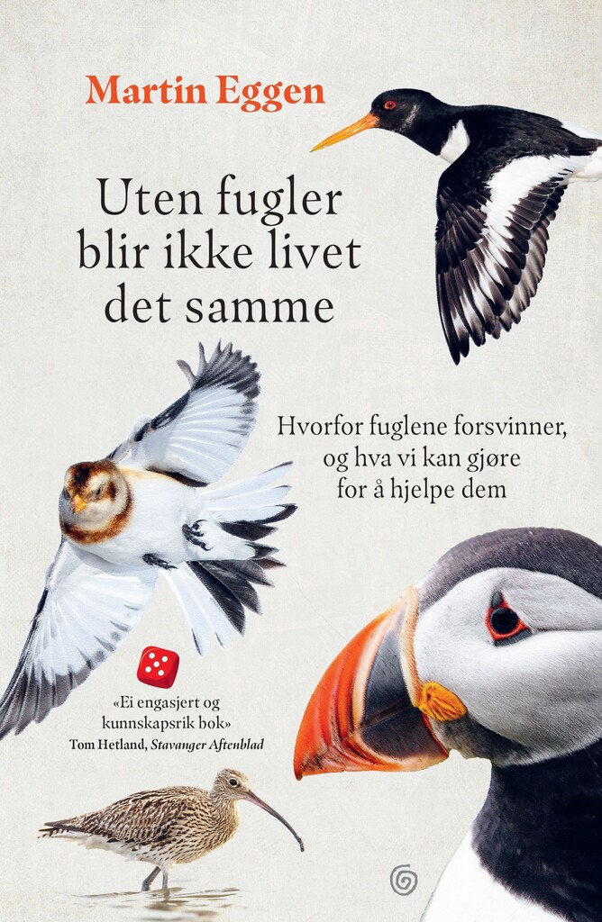Forsidebilde