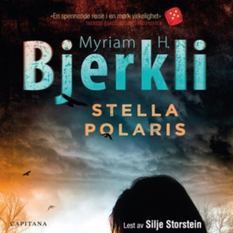 Coverbilde for Stella polaris