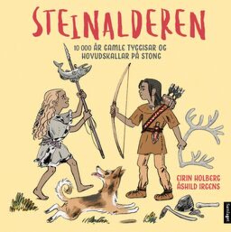 Coverbilde for Steinalderen