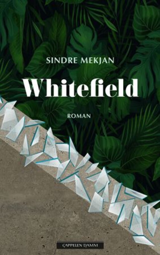 Coverbilde for Whitefield