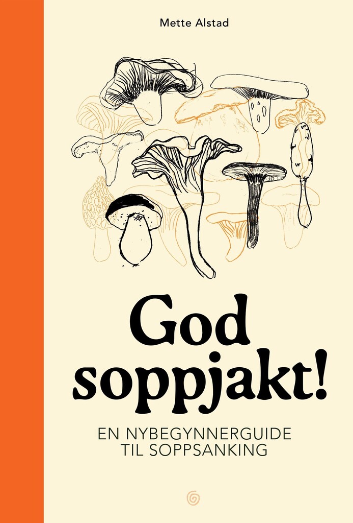 Forsidebilde