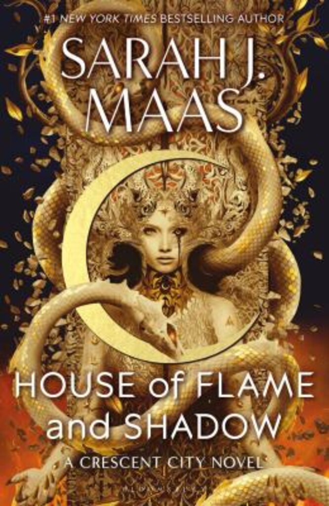 Coverbilde for House of flame and shadow