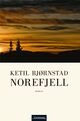 Omslagsbilde:Norefjell : roman