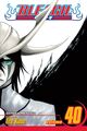 Omslagsbilde:Bleach . vol. 40 . The lust