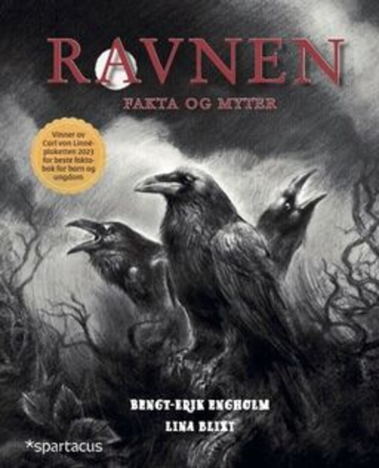 Coverbilde for Ravnen