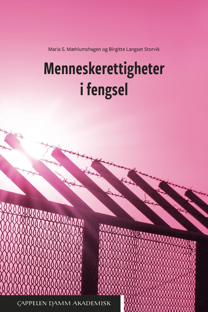 Menneskerettigheter i fengsel