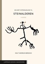 Bergsvik, Knut Andreas : En kort introduksjon til steinalderen i Norge