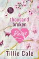 Cover photo:A thousand broken pieces