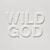 Omslagsbilde:Wild God